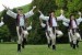 Folklórne tance